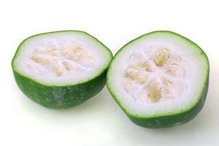 青春的主旋律作文600字（青春的旋律作文800字记叙文）