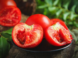 优秀学生个人简历（优秀学生个人简历和事迹简介）