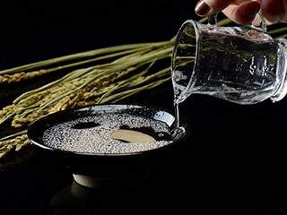 节气的农谚或俗语_24节气的俗语农谚