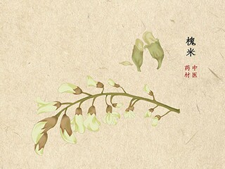 赞美梅花的诗词_赞美梅花的诗词名句有哪些