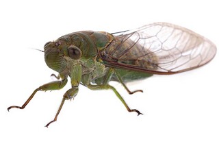 工作的心得体会(在食堂工作的心得体会)