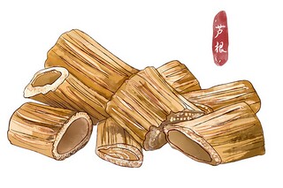 我们怎样听见声音说课稿_我们怎样听见声音评课记录