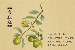 期盼春天散文（期盼的春天）