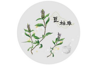 态度决定成功作文（态度决定成败800作文高中生）