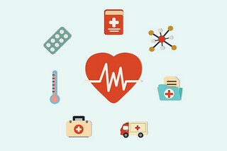 春天里的桃花作文（春天的桃花写一篇作文）