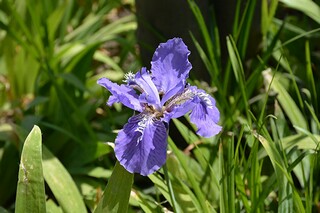 劳动节诗歌(劳动节诗歌自创)