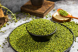 关于我的书屋我的梦作文_关于我的书屋我的梦作文800字