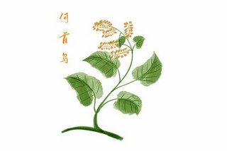 祝母亲节快乐的微信祝福语37条_祝母亲节快乐的祝福语短句