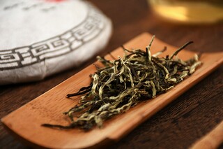《湛露》原文翻译及赏析_湛露意思全解