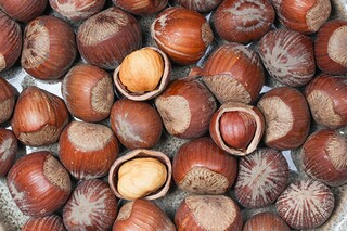 有这样一群孩子杂文随笔（有这样一群孩子,他们如同天上的星星）