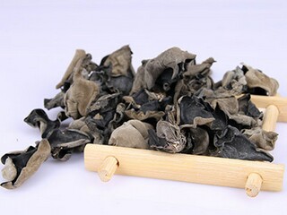 古诗游子吟改编故事（游子吟改写成小故事）