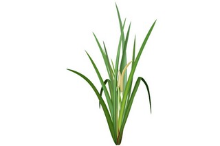 杜甫《送郑十八虔贬台州司户》试题答案