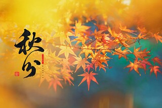 坚强的老师作文(坚强的人作文500字)