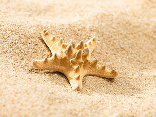 二十四节气之谷雨的农谚最新_农历二十四节气的谷雨是什么意思