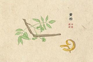 初中军训感想（初中军训感想作文）