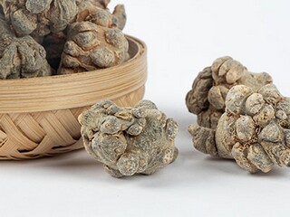 《送魏大从军》陈子昂诗词赏析_陈子昂的《送魏大从军》