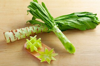 《大牛和小牛》教学设计（大牛和小牛有趣的生活图片）