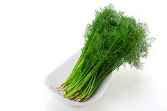 工厂质量标语制作的方案_工厂质量标语