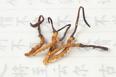 违章承诺书范文(违章保证书怎么写)