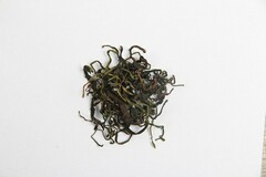 绿色环保宣传标语(绿色环保宣传标语手抄报)