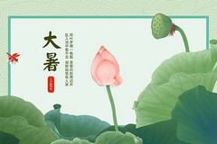 海棠作文500字_海棠小作文