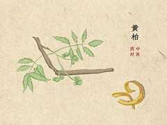 军训我的感受作文500字_军训我的感想作文