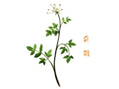 按期转正申请书_时代转正的申请书