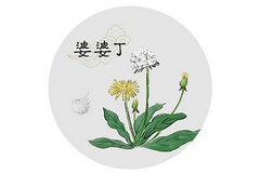 公积金贷款合同丢失_公积金贷款合同