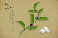 情人节营销方案(情人节营销方案策划)