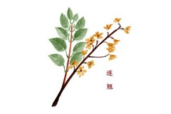 小学教师个人工作计划