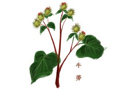 初三学生的评语_初三学生班主任评语
