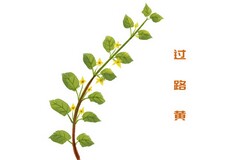 七年级英语听课评语和建议