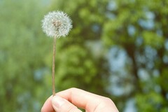安全自查报告(银行安全自查报告)
