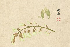 妇产科研究方向有哪些_妇产科研究性论文