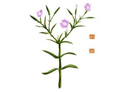 家长会家长代表优秀的发言稿范文(防溺水专题家长会家长代表发言稿)