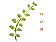 房地产销售述职报告