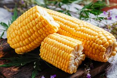 初一学生评语大全简短霸气_初一学生简短操行评语-初中生评语