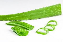 简短辞职报告_简短辞职报告文案