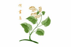 董事长开业致辞稿简短_董事长开业仪式致辞