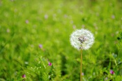 护士年终总结(护士年终总结及明年工作计划汇报)