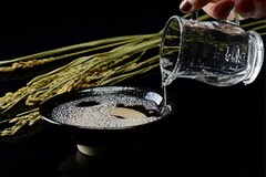 正规的个人租房合同(正规的长期租房合同)