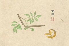 让梦想更加灿烂演讲稿_让梦想照亮人生舞台的演讲稿